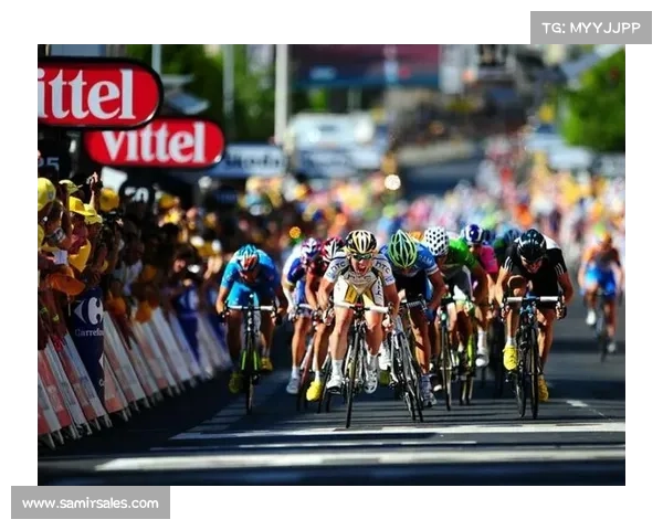 2019体育赛事—2019年体育